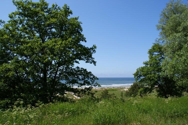 Apartamentai Obelyne Palanga Luaran gambar