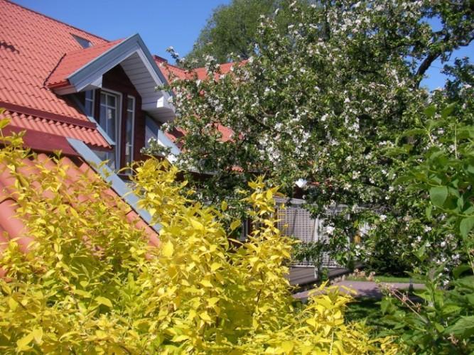 Apartamentai Obelyne Palanga Luaran gambar
