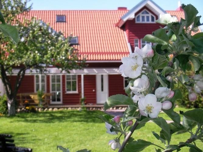 Apartamentai Obelyne Palanga Luaran gambar