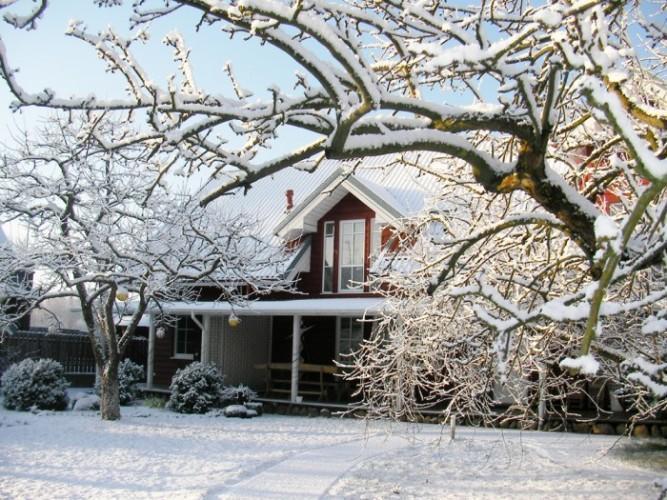 Apartamentai Obelyne Palanga Luaran gambar