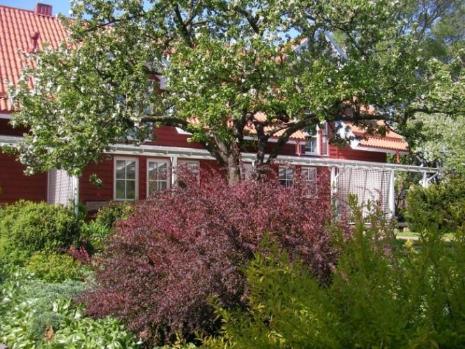 Apartamentai Obelyne Palanga Luaran gambar