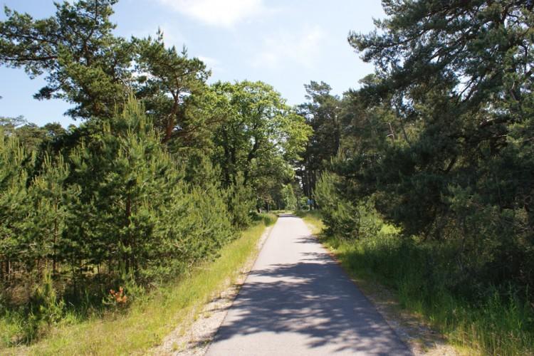 Apartamentai Obelyne Palanga Luaran gambar
